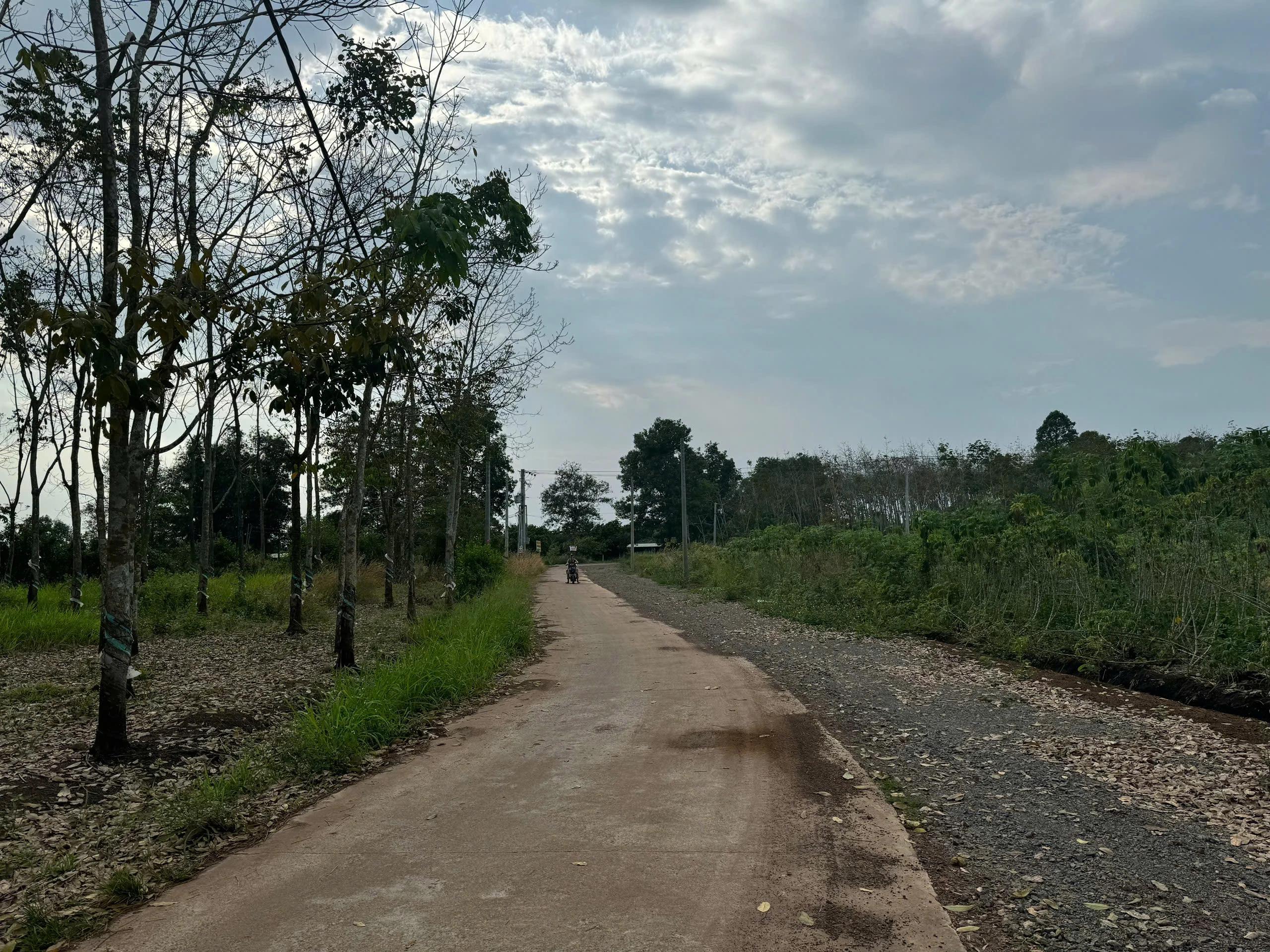 Bán đất nông nghiệp Xã Cẩm Đường huyện Long Thành Tỉnh Đồng Nai