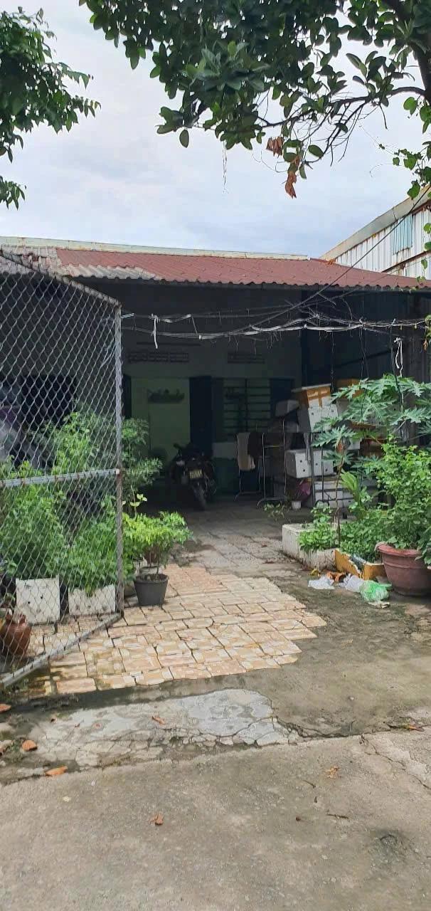 Sỡ hữu ngay lô đất biệt thự gần đường Hoàng Văn Thái, Q.Liên Chiểu, TP. Đà Nẵng