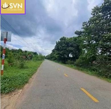 🌿 BÁN GẤP LÔ ĐẤT 878m² – SỔ HỒNG RIÊNG – PHƯỚC LÂM, CẦN GIUỘC – GIÁ 1,3 TỶ 🌿