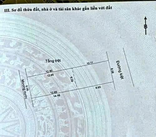 Bán đất tặng kèm nhà cấp 4 gần đường Hoàng Văn Thái, Q.Liên Chiểu, TP. Đà Nẵng