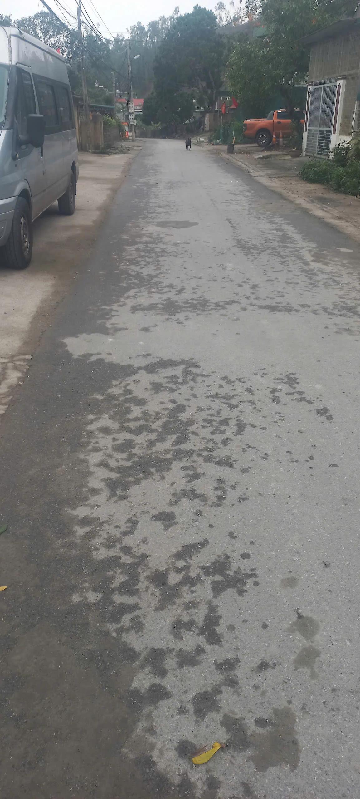 Trục đường chính khu 6 Thị trấn Cái Rồng, khu kinh tế phát triển tiềm năng Vân đồn