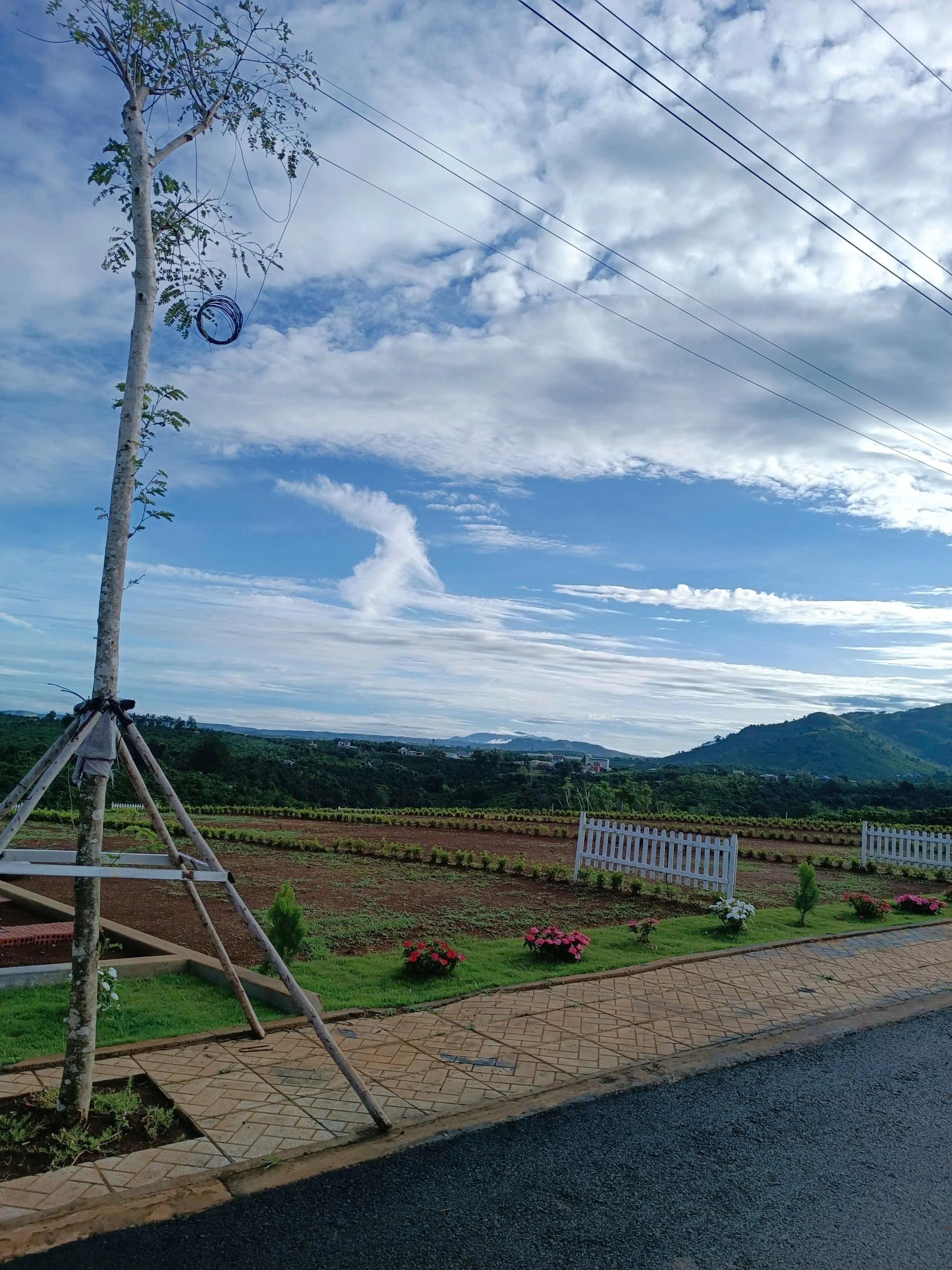 Đầu tư đất nền Di Linh chưa bao giờ dễ đến thế – Giá chỉ 286 triệu/lô! SHR